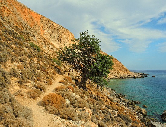 dscn7031.jpg