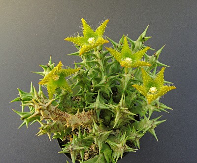 dscn2815.jpg