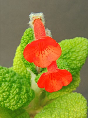 dscn2824.jpg