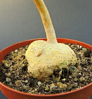 dscn2812.jpg