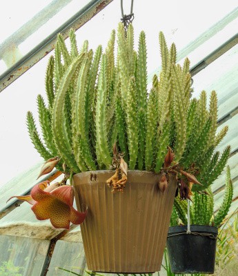 dscn2491.jpg